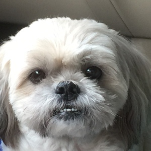 Fundraising Page: Jeanne Ford